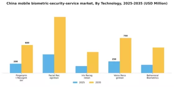 China Mobile Biometric Security Service Market Segment Image 3