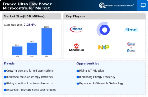 France Ultra Low Power Microcontroller Market Infographic