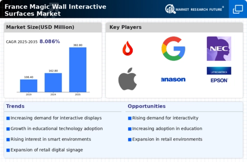 France Magic Wall Interactive Surfaces Market Infographic