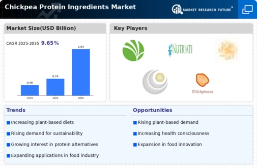 Chickpea Protein Ingredients Market Infographic