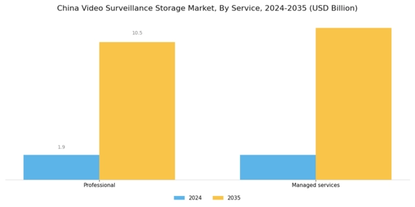 China Video Surveillance Storage Market Segment Image 3