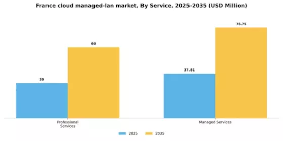 France Cloud Managed Lan Market Segment Image 2