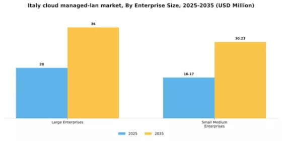 Italy Cloud Managed Lan Market Segment Image 0