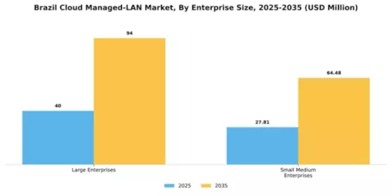 Brazil Cloud Managed Lan Market Segment Image 0
