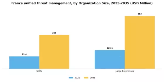 France Unified Threat Management Market Segment Image 2