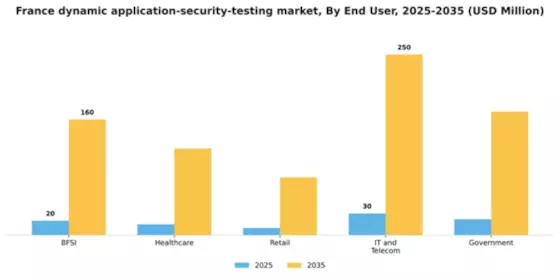 France Dynamic Application Security Testing Market Segment Image 2