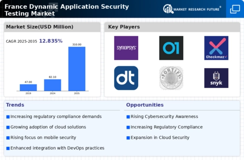 France Dynamic Application Security Testing Market Infographic