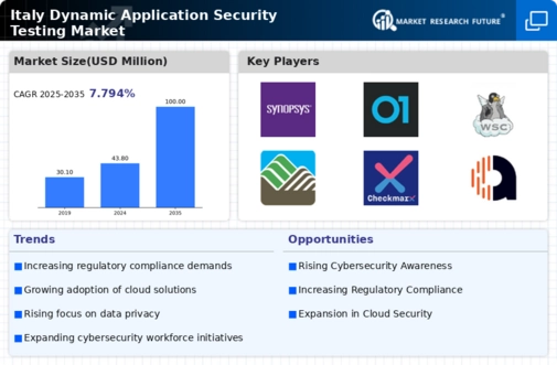 Italy Dynamic Application Security Testing Market Infographic