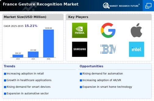 France Gesture Recognition Market Infographic