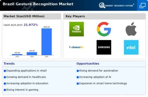 Brazil Gesture Recognition Market Infographic