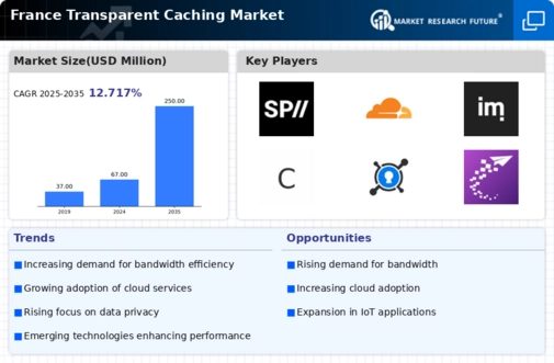 France Transparent Caching Market Infographic