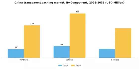 China Transparent Caching Market Segment Image 1