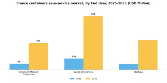 France Containers As A Service Market Segment Image 1