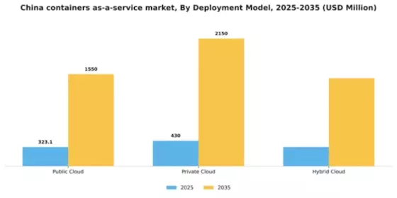 China Containers As A Service Market Segment Image 0