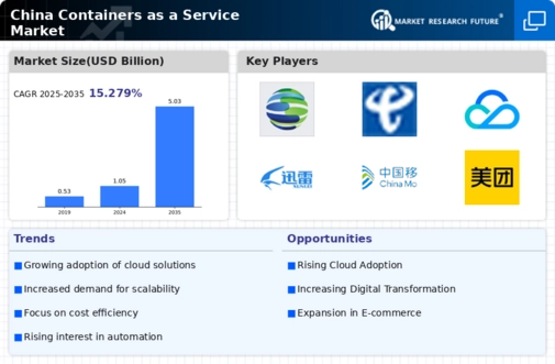 China Containers As A Service Market Infographic