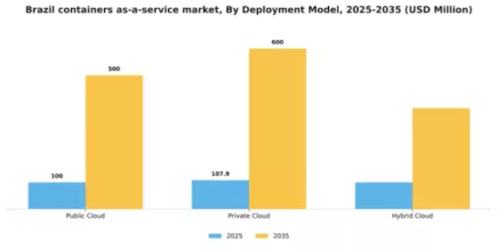 Brazil Containers As A Service Market Segment Image 0