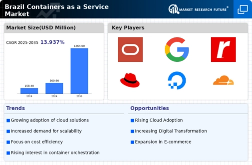 Brazil Containers As A Service Market Infographic