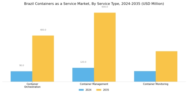 Brazil Containers As A Service Market Segment Image 1