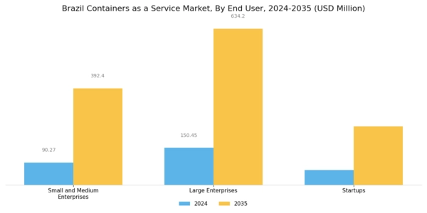 Brazil Containers As A Service Market Segment Image 2