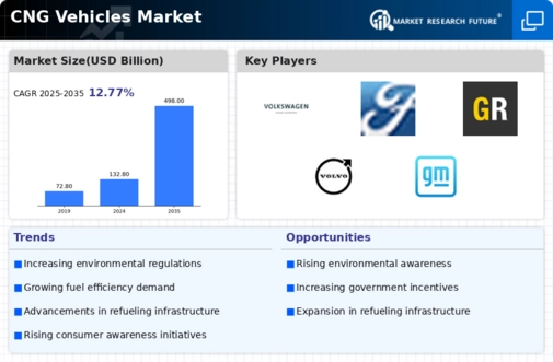 CNG vehicles Market Infographic
