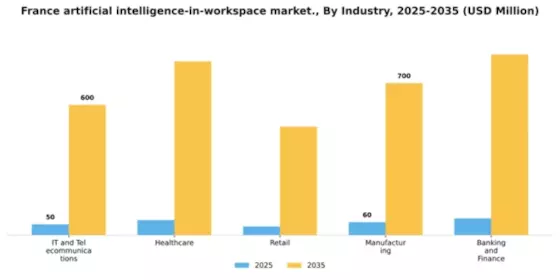 France Artificial Intelligence In Workspace Market Segment Image 3
