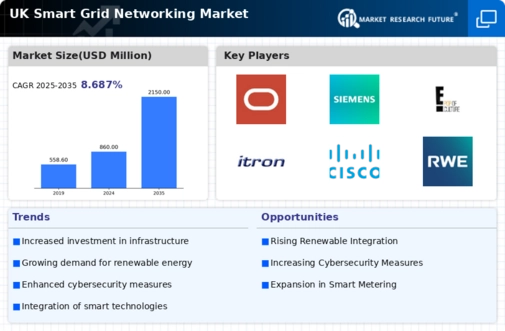 UK Smart Grid Networking Market Infographic