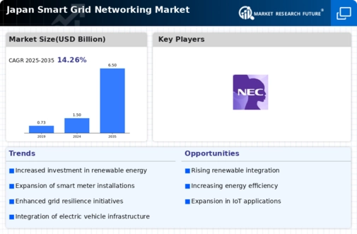 Japan Smart Grid Networking Market Infographic