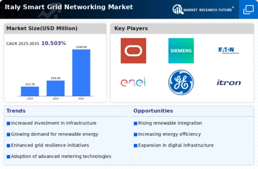 Italy Smart Grid Networking Market Infographic