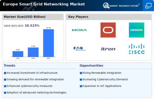 Europe Smart Grid Networking Market Infographic