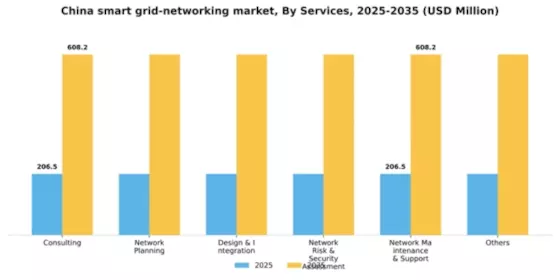 China Smart Grid Networking Market Segment Image 1