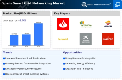 Spain Smart Grid Networking Market Infographic