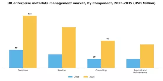 UK Enterprise Metadata Management Market Segment Image 1