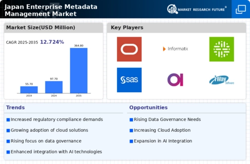 Japan Enterprise Metadata Management Market Infographic