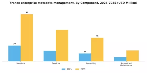 France Enterprise Metadata Management Market Segment Image 1