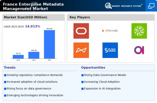 France Enterprise Metadata Management Market Infographic