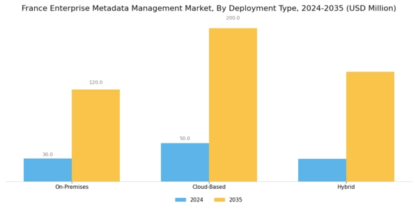 France Enterprise Metadata Management Market Segment Image 0