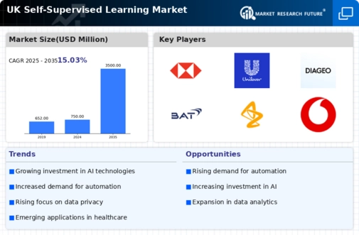 UK Self Supervised Learning Market Infographic