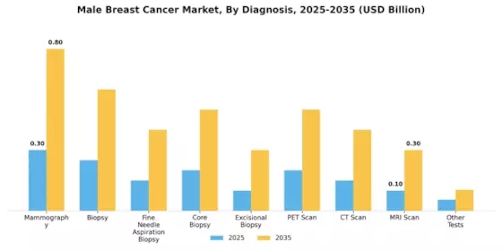Male Breast Cancer Market Segment Image 1