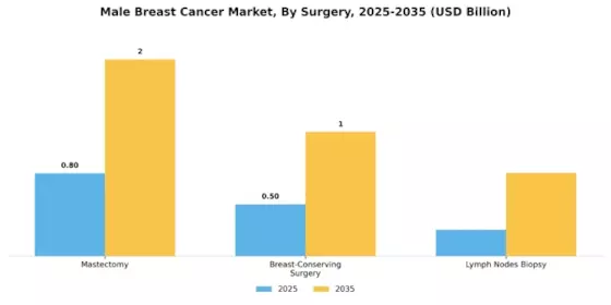 Male Breast Cancer Market Segment Image 4