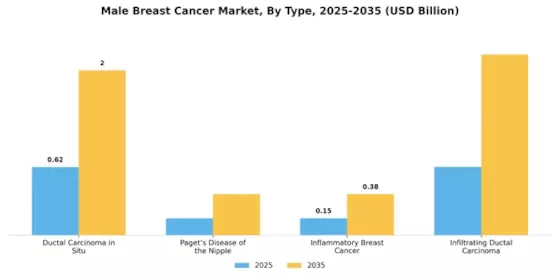 Male Breast Cancer Market Segment Image 8