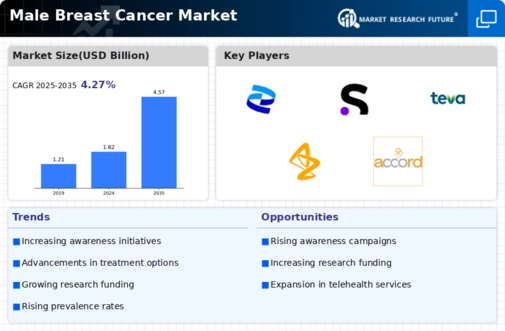 Male Breast Cancer Market Infographic