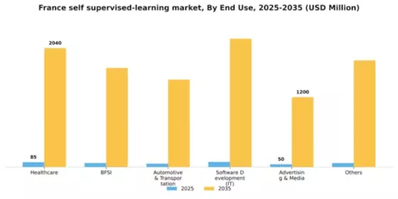 France Self Supervised Learning Market Segment Image 0
