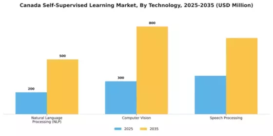 Canada Self Supervised Learning Market Segment Image 1