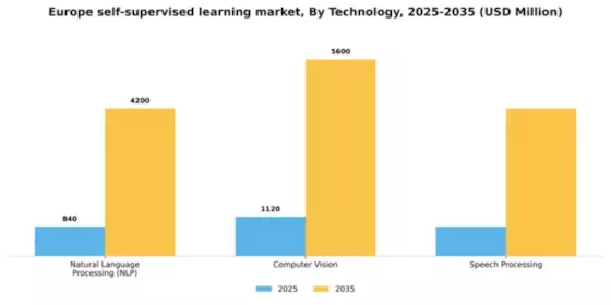 Europe Self Supervised Learning Market Segment Image 1