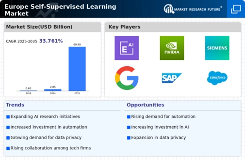 Europe Self Supervised Learning Market Infographic
