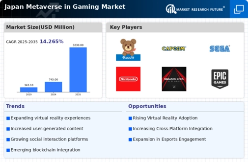 Japan Metaverse in Gaming Market Infographic