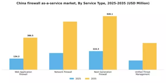 China Firewall As A Service Market Segment Image 3