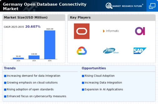 Germany Open Database Connectivity Market Infographic
