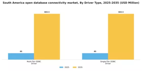 South America Open Database Connectivity Market Segment Image 1