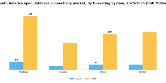 South America Open Database Connectivity Market Segment Image 3